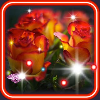 Rose Dew Drops live wallpaper İndir (PC Windows Android.