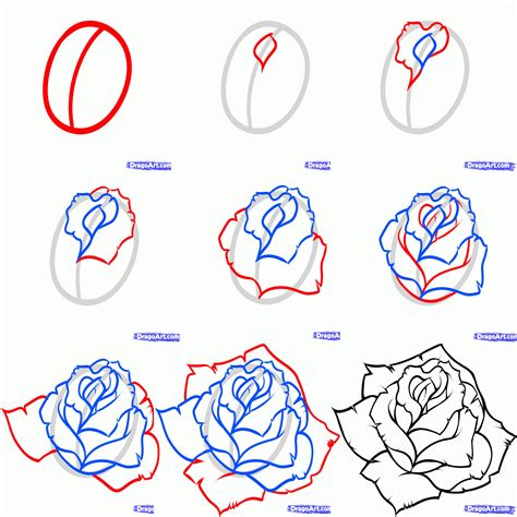 Rose Drawing Steps