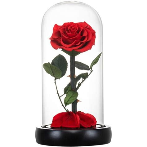 Rose Eternelle