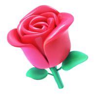 Rose Gift Tiktok