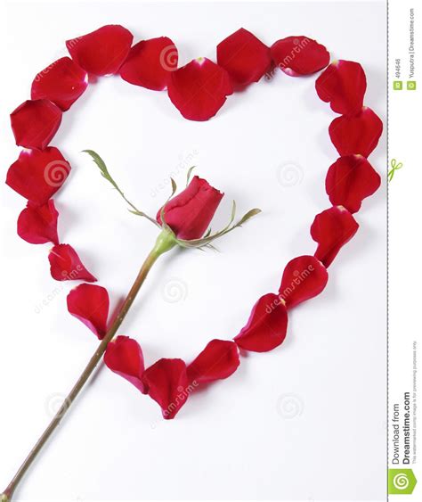 Rose Heart Onlyfans Leak