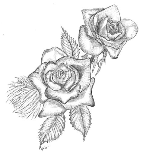 Rose Pic Drawing