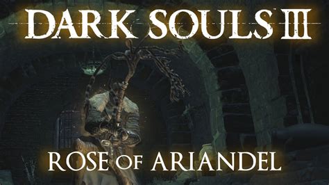 Rose of ariandel. In case you didn't notice, the Rose of Ariandel has bird claws. This fits the overall Corvian theme. 