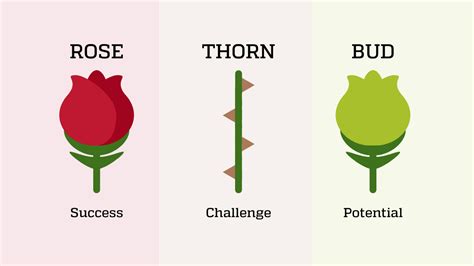 Patricio2020. Rose = A highlight, success, small win, or something positive that happened. Thorn = A challenge you experienced or something you can use more support with. Bud = New ideas that have blossomed or something you are looking forward to knowing more about or experiencing.. 