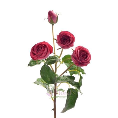Roseab Onlyfans Leak