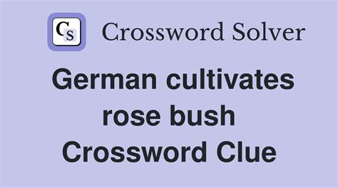 Rosebush? - crossword puzzle clue