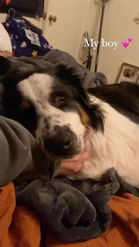 Rosecreeep Leaks [PPV] 🍌 195 Pics