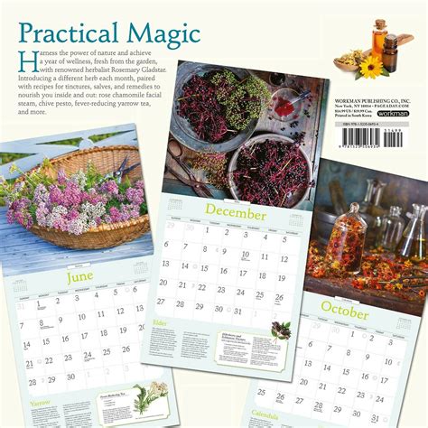 Read Rosemary Gladstars Herbs Wall Calendar 2020 By Rosemary Gladstar