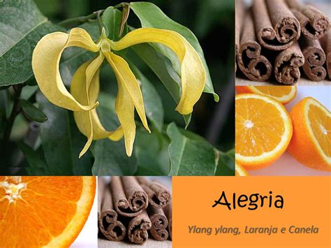 Rosinhaz Onlyfans Leak +18 💦 164 Photos