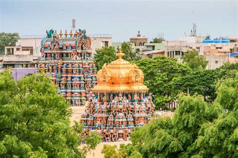 Ross Allen Photo Madurai