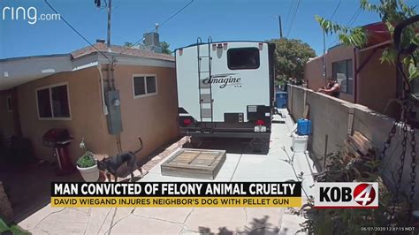 Ross County has its first felony animal cruelty conviction