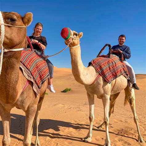 codini.rgarabwor.edu.pl. 