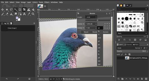 Rotate Images in GIMP With the Rotate Tool and Options
