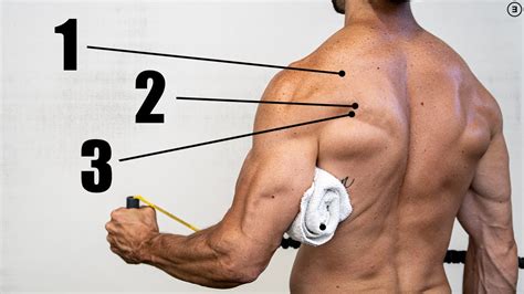 Rotator Cuff Exercises