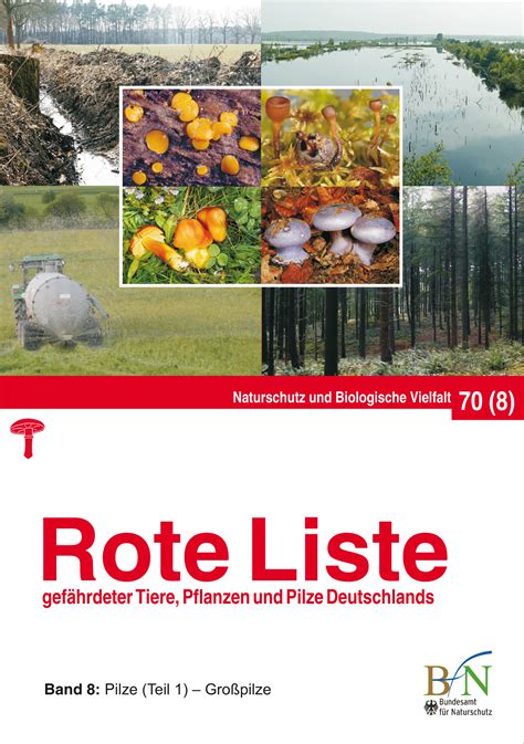 Rote listen gefährdeter pflanzen in der bundesrepublik deutschland. - Construction site safety a guide for managing contractors.