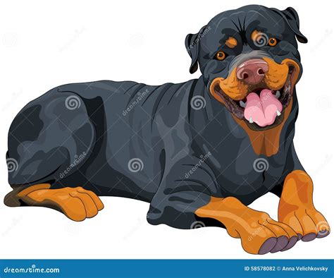 Rottweiler Cartoon Stock Vectors, Clipart and Illustrations