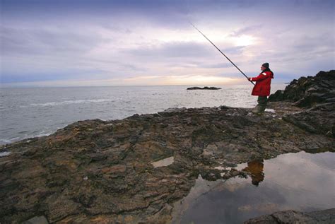 Rough Ground Cod Fishing at Muchalls in Aberdeen - SeaAngler