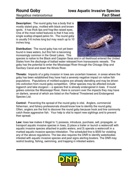 Round Goby Fact Sheet - iowadnr.gov