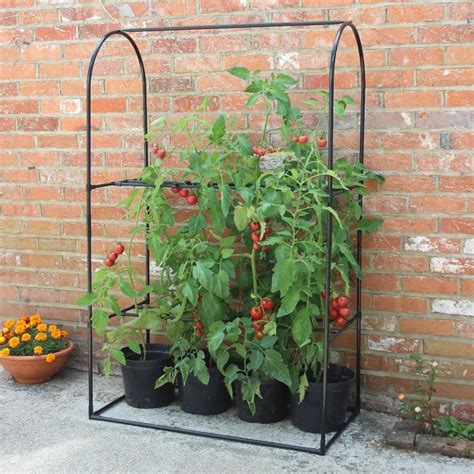 Round Grow Frame Plant Frames & Supports Sarah Raven