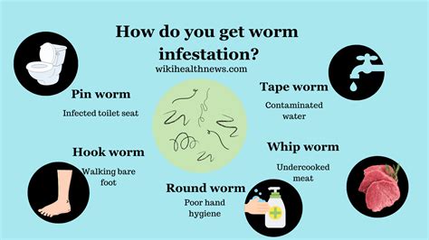 Round worm symptoms in humans.  Others, though, experience everything from Intestin...