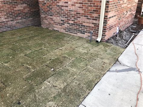 4 – Call your local sod delivery service to set up your delivery! *For the Jacksonville Florida area call Randy at Rondtree Sod on Phillips Highway at 904-741-4SOD. 5 – Call in all your favors from friends and neighbors and get to work! Laying Your New Sod Lawn. 