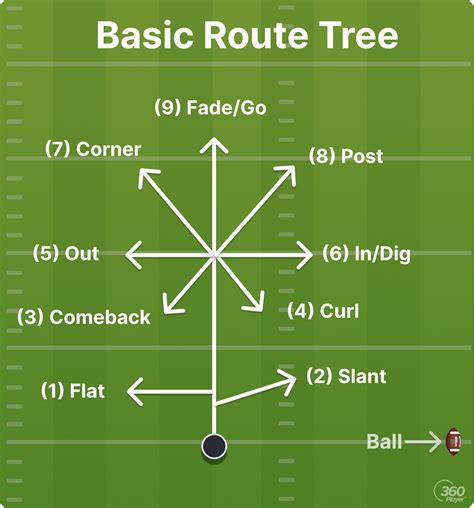 Route tree. Things To Know About Route tree. 