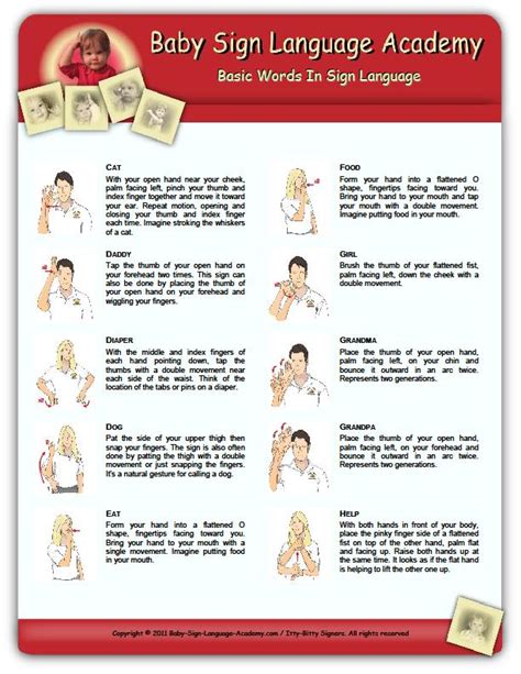 Routine Life Measurements Sign Language Basic Hands Signals Baby ASL & BSL