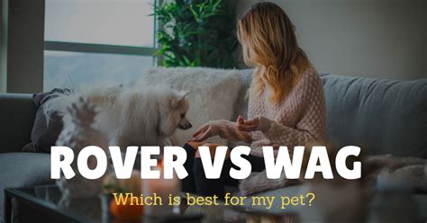 Rover vs wag. 1. Wag! vs. Rover: Which Dog-Walking App Is Better for Dog Owners? dog-walking app. Photo Credit: Jaromir Chalabala / EyeEm / Getty Images. In a perfect world, … 