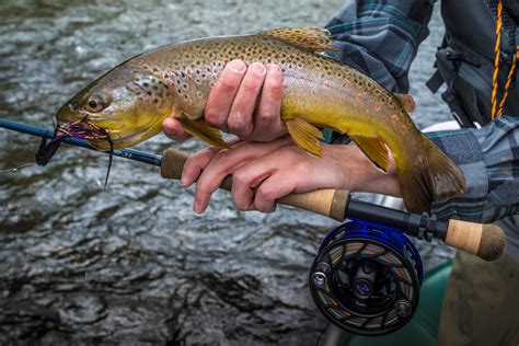 Rowing for Fly Fishing - blog.vailvalleyanglers.com