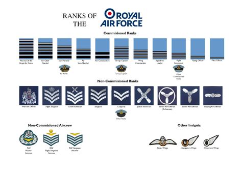 Royal Air Force Raf Officer Salaries Glassdoor