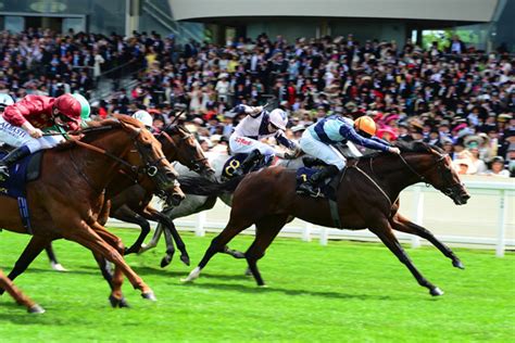 Royal Ascot 2024: Accidental Agent -