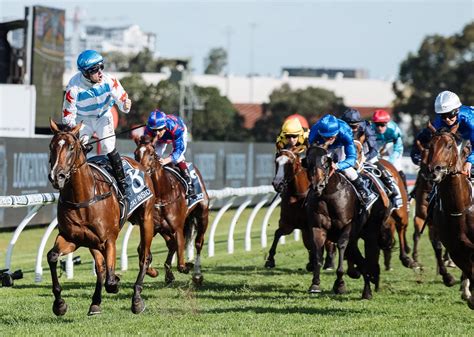 Royal Randwick - Rosehill Gardens - Australian Turf Club