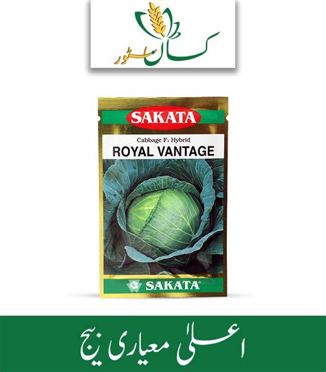 Royal Vantage - Sakata Wholesale Vegetable Seed