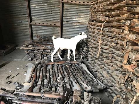 Jeff and TJ visited the Royal Tiger Imports warehouse to check out the 20,000 surplus rifles they recently imported from Ethiopia. In that batch were hundreds of M1 Carbines. Jeff gives a quick .... 