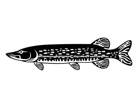 Royalty-Free (RF) Northern Pike Clipart & Illustrations #1