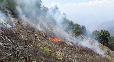 🔥 +18 Roza Maya Leaked