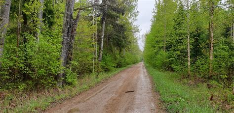 😈 Rozalima Leaked [HD] 133 Vids