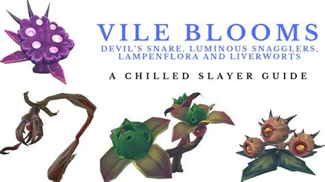Rs3 vile blooms. Gargoyles are a sub-species of demon [1], and are weak to Silverlight and Darklight . Gargoyles have drops which are often alched. The drop table includes a decent amount of salvage, both adamant and rune, at fairly high drop rates. Slayer-specific drops, such as granite mauls and dark mystic robe tops, can still be obtained. 
