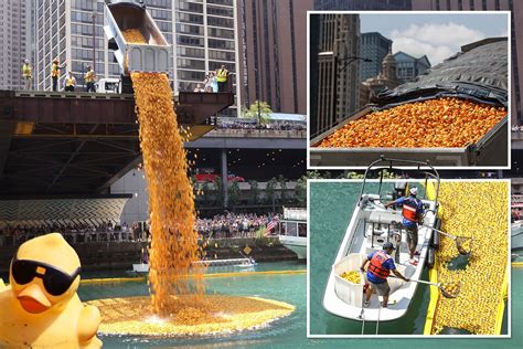 Rubber ducks fill Chicago River for annual Ducky Derby fundraiser
