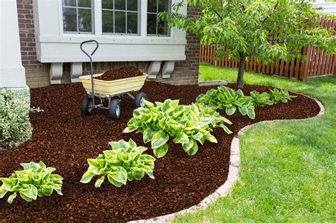 Rubber stuff mulch. This realistically textured ground cover looks identical to wood mulch and is made from 100% recycled rubber. Rubberific shredded rubber mulch will not fade, rot, compress or lose its original beauty even after years of exposure to the elements. At a 1 in. depth for landscaping this item will cover 450 sq. ft. 