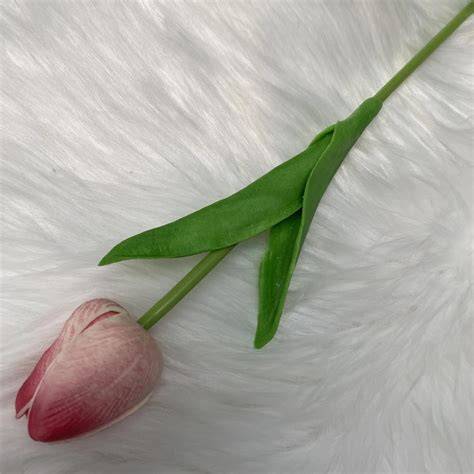 Rubber_Tulip Leaks 💦 (SEX)