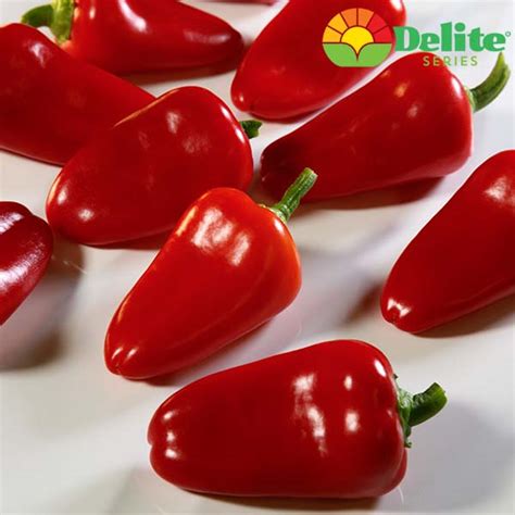 Ruby Delite Pepper Premium Garden Seeds Hoss Tools