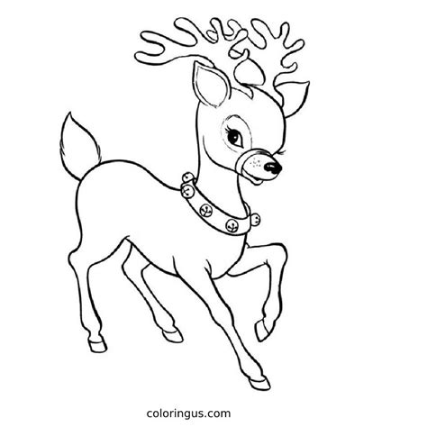 Collen Hoover Coloring Book