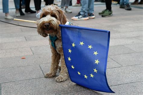 Ruff day in Strasbourg: European Paw-liament goes barking mad