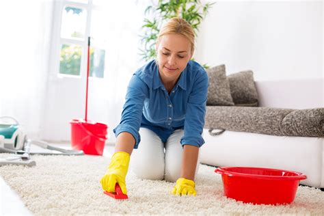 Rug cleaning nyc. Always Green Carpet Cleaner is a top-quality carpet cleaning, upholstery cleaning and rug cleaning company. Our office cleaning service in Brooklyn and NYC is ... 