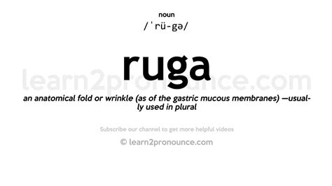 Ruga Definition & Meaning - Merriam-Webster