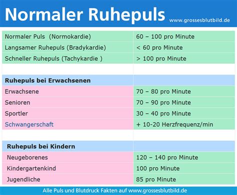 Ruhepuls bei Erwachsenen