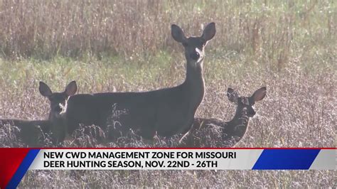 Rule changes to know before start of Missouri's firearm deer season