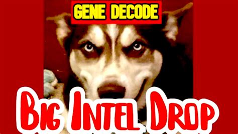 Rumble gene decode. wouf wouf wouf...compilation of gene decode's videos 