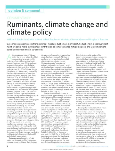 Ruminants, climate change and climate policy - Nature